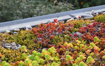 the cost of Walker Fold green roof installation