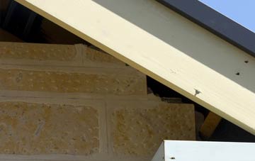 soffit repair Walker Fold