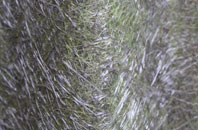 Walker Fold fibreglass roof work